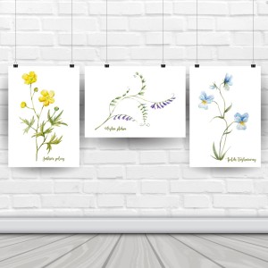 Plakaty "POLNE KWIATY"