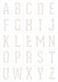 plakat-kwiatowe-literki-P044.jpg