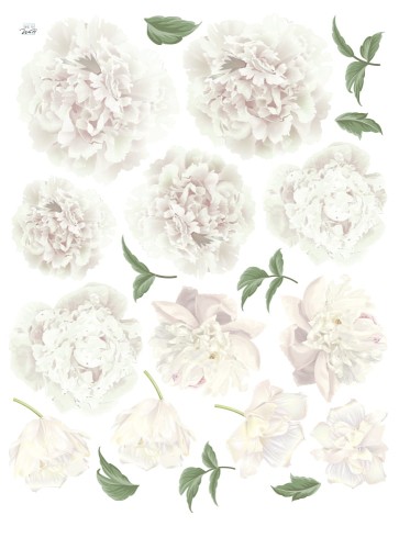 naklejki-peonie-biale-N117.jpg