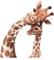 naklejki-zyrafy-N142.jpg