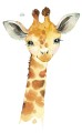 naklejki-dzika-afryka-zyrafa-N168_1.jpg