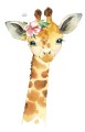 naklejki-dzika-afryka-zyrafa-N168_2.jpg