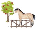 naklejki-wesola-farma-kon-N203_3.jpg