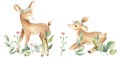 naklejki-jelonki-N365.jpg