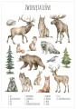 plakat-zwierzeta-lesne-P113_1.jpg