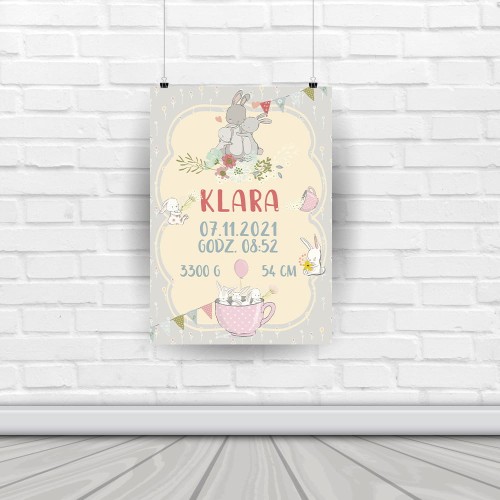 plakat-metryczka_P117-wiz.jpg