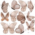 naklejki-motyle-N609.jpg